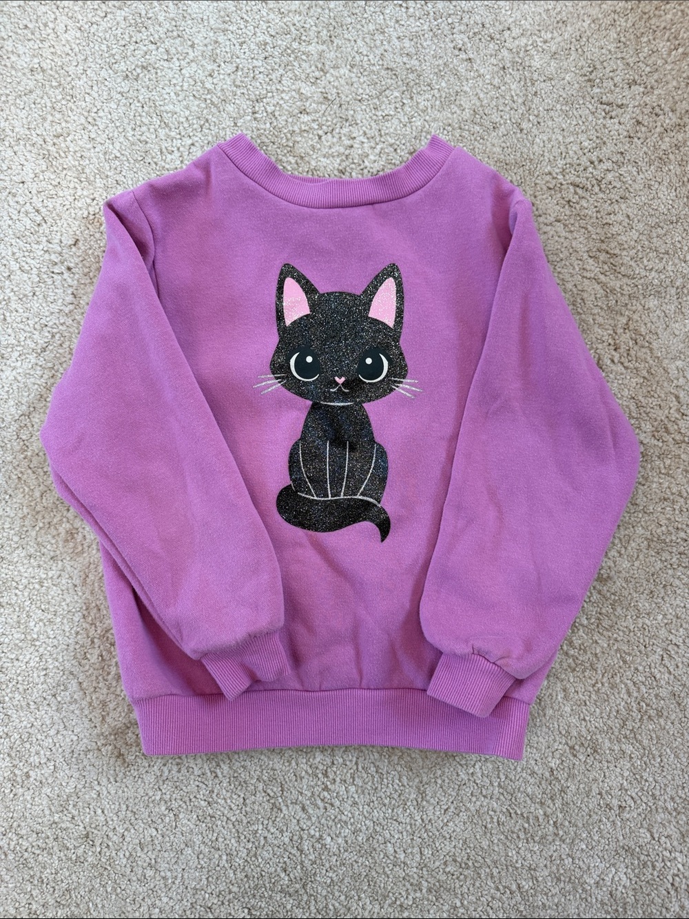H&M Purple Sweatshirt with Glitter Black Cat Graphic
